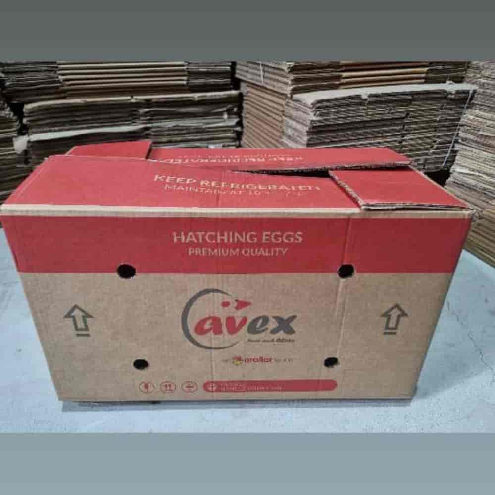 کارتن استوک