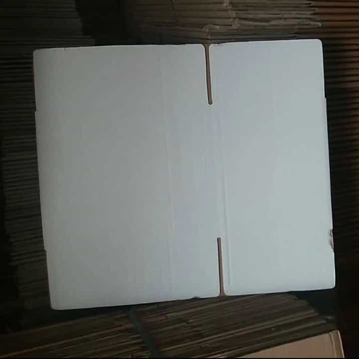 1781122000579.webp